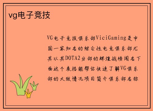 vg电子竞技