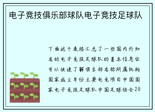 电子竞技俱乐部球队电子竞技足球队
